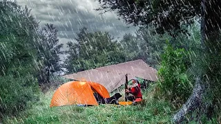 Solo Camping in the HEAVY RAIN - Nature's Challenges (With my Dog)