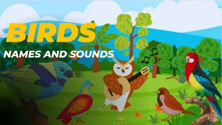 Birds names and sounds for kids|Name of Birds|learning|Kidz World