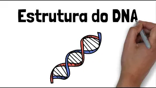 ESTRUTURA DO DNA: HISTONAS, NUCLEOSSOMO, CROMATINA e CROMOSSOMO.