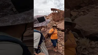 在非洲西南岸的納米比沙漠邊緣，來揭開世界遺產：世界最大的岩刻壁畫集中地🦒🦁 & 不可思議的植物化石公園🌱 #africa #namibia #video #travel#shorts #art