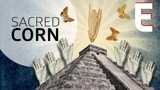 Why Corn is The Most Sacred Crop — Forklore