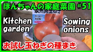 家庭菜園【ぽんちゃんの家庭菜園2020】#51（お試し玉ねぎの種まき編）2020/10/13