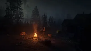 🔥 Camp in Forest | Campfire and Spooky Woods Sounds | Ambience