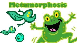 "Metamorphosis (Tadpole into a Frog)"--a science song for kids about the frog life cycle