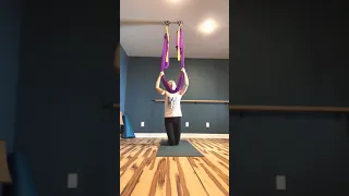 Aerial Yoga Practice: Lesson 2