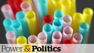 Canada to ban single-use plastics by 2021, says environment minister | Power & Politics