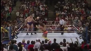 Ultimate warrior vs andre the giant