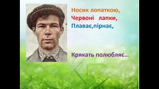 3 клас Українська мова Василь Чухліб Дикі Каченята