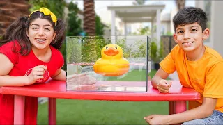 Jason y Alex juegan y cuidan de un pato | Vídeo interesante para niños