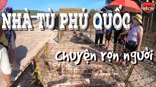 Nhà tù Phú Quốc - Những câu chuyện rợn người nơi địa ngục trần gian. Kế hoạch vượt ngục ra sao?