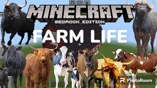 All breeds of cows in the farm Addon in Minecraft PE วัวทุกสายพันธุ์ที่ในฟาร์ม Addon in Minecraft PE