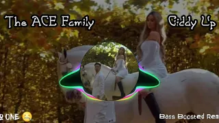 The ACE Family - Giddy Up | Bass Boosted Remix | Visualiser | #bass