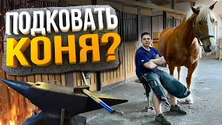 СКОЛЬКО ЗАРАБАТЫВАЕТ КОВАЛЬ?