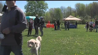 Community raises money for new dog park in Columbiana