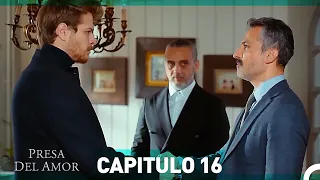 Presa Del Amor Capitulo 16 HD (Español Doblado)