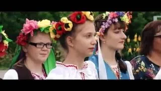 Вадим Южный - Васильки