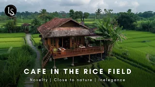 A Breath of Fresh Air: Rustic Wooden Cafe nestled in Rice Fields