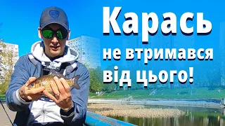 Ловля КАРАСЯ на СПІНІНГ МОРМИШИНГ. Нова стратегія ловлі на УЛЬТРАЛАЙТ