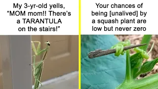 Animal And Nature Memes, As Shared By Members Of This Popular Facebook Group