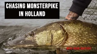 BOOM! 💥🔥 🤯 126cm pike fishing in the Netherlands - Chasing Monsters