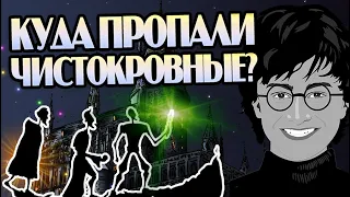 Что стало с потомками Певереллов? Гарри Поттер разбор