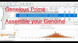 De Novo Genome Assembly using Geneious Prime || Basic Tutorial