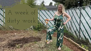 Sunday morning garden tour and weekly catchup