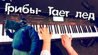 Грибы- Тает лед (piano cover) / Как играть