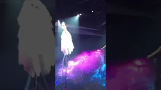 Eurovision 2019 semi final 1 Australia Kate - zero gravity