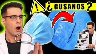 ¿Hay GUSANOS o LARVAS en las MASCARILLAS realmente? 😱 | Curiosidades con Mike