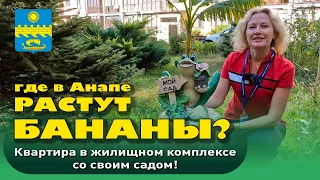 Где в Анапе растут бананы? Квартира в ЖК со своим садом #анапа #купитьквартиру #квартирауморя