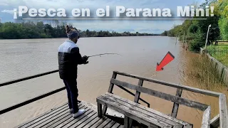 A FULL la PESCA en TIGRE, NOCTURNA en el PARANA MINI, TERRIBLE LUGAR MAS QUE HERMOSO en ARGENTINA!