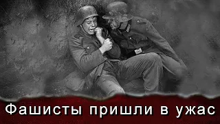 Фашисты пришли в ужас, когда штурмовик Ил-2 неожиданно вылетел из посадки и начал пальбу.