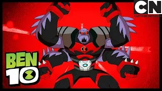 Quatro Por Quatro | Ben 10 em Português Brasil | Cartoon Network