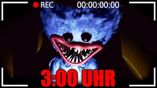 SPIELE NIEMALS POPPY PLAYTIME NACHTS UM 3:00 UHR