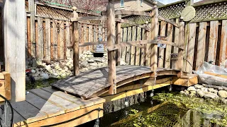 DIY Koi Pond Update - 04/2024 - Pond Uncovering