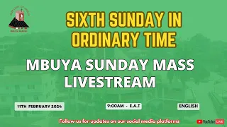 Catholic Daily TV Mass Online | Sunday 11th February 2024