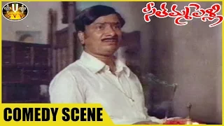 Rallapalli Without Wife Comedy Scene || Seethamma Pelli Movie || Mohan Babu, Aruna || Sri Venkateswa