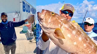 EPIC DEEP DROPPING! *Jamaican Style* Fried Grouper Head {Catch Clean Cook}