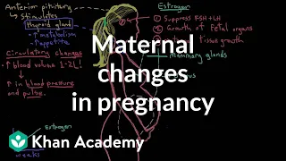Maternal changes in pregnancy | Reproductive system physiology | NCLEX-RN | Khan Academy