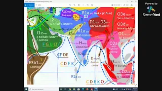 Haplogroup Study for Discussion with David Neff