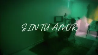 Mc Layam - SIN TU AMOR (Visualizer).N1