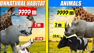 Unnatural Habitat vs Animal Size Comparison | SPORE