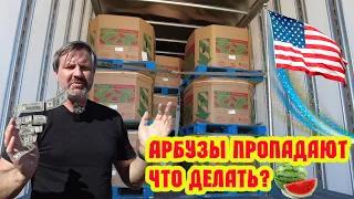 Мексиканские арбузы уже текут и издают  неприятный запах! Я все ещё в штате нью Мексика