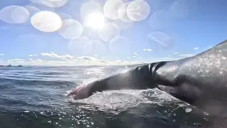 SURFING SHALLOW REEF SLAB POV BIG HOLD DOWNS