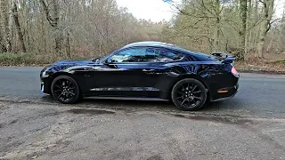 Mustang V8 Amazing sound taking off and drive by.