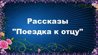 Поездка к отцу. Рассказы - Ольга Рожнёва