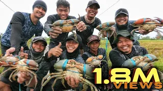 EP174-Part1 - Huge Mud Crabs Catch 'n Cook | Buttered Crabs with Salted Egg | Occ. Mindoro