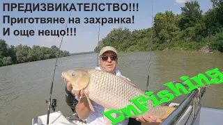 ПРЕДИЗВИКАТЕЛСТВО към ЗРИТЕЛИТЕ!!! Диви шарани на р. Дунав ! Danube carp fishing !!!