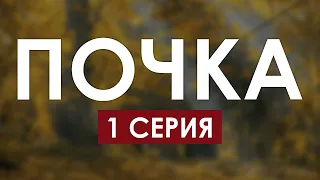 Почка — 1 серия (сериал 2021) / Мега Сериалы / HDReview / смотреть рекомендую, обзор — Media Review